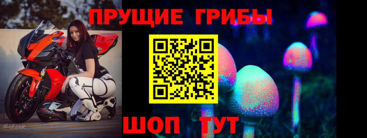Псилоцибиновые грибы Cubensis Кимовск